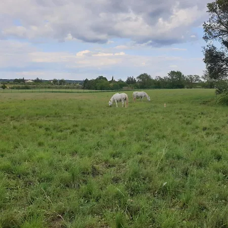 D'hotes Dans Propriete Rurale - Camargue