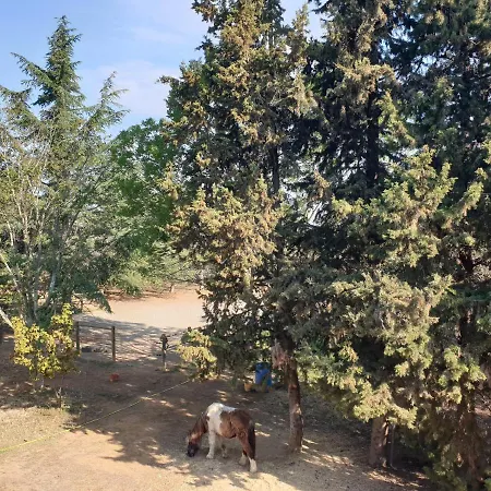 D'hotes Dans Propriete Rurale - Camargue *